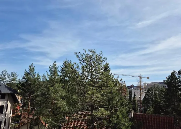 Zlatibor Central Apartment * Zlatibor